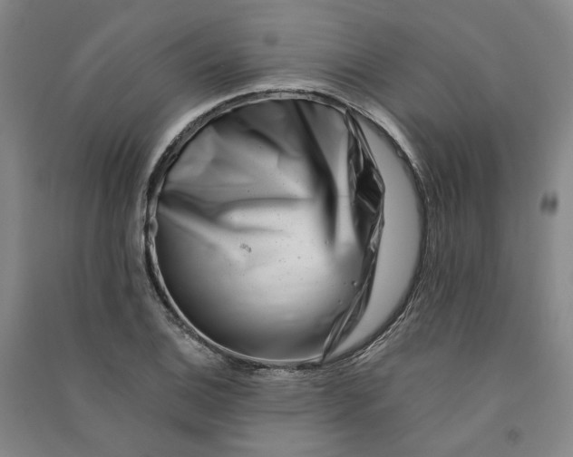 X0000090881124200708171640