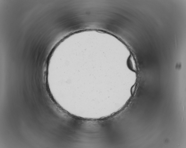 X0000090881126200708171640