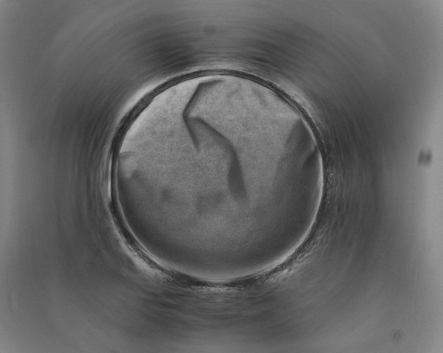 X0000090881127200708171640