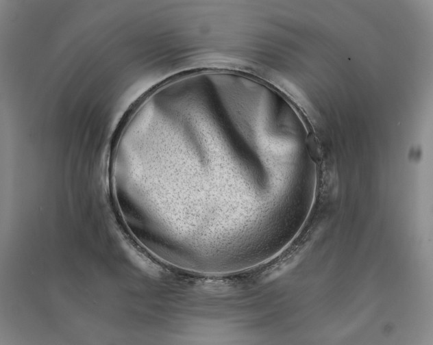 X0000090881128200708171640