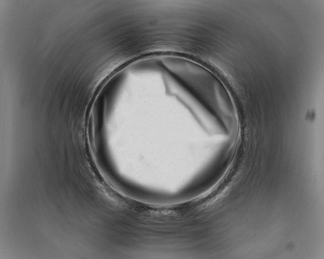 X0000090881129200708171640
