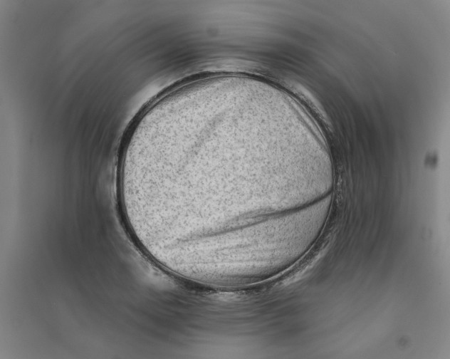 X0000090881130200708171640