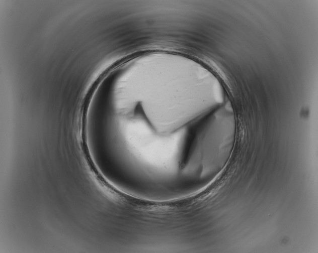 X0000090881131200708171640