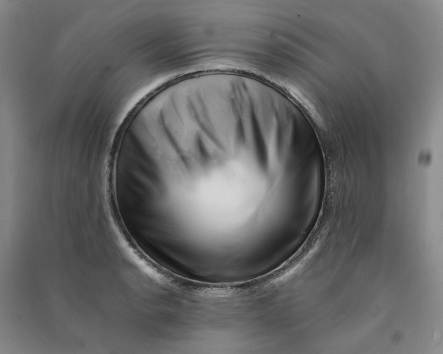 X0000090881134200708171640
