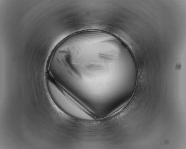 X0000090881135200708171640
