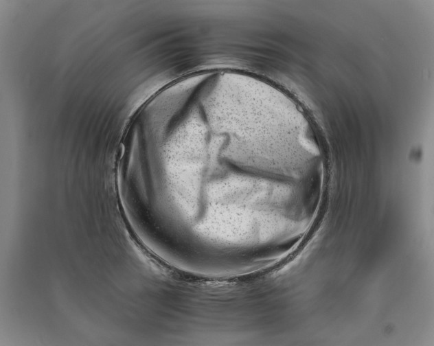 X0000090881137200708171640