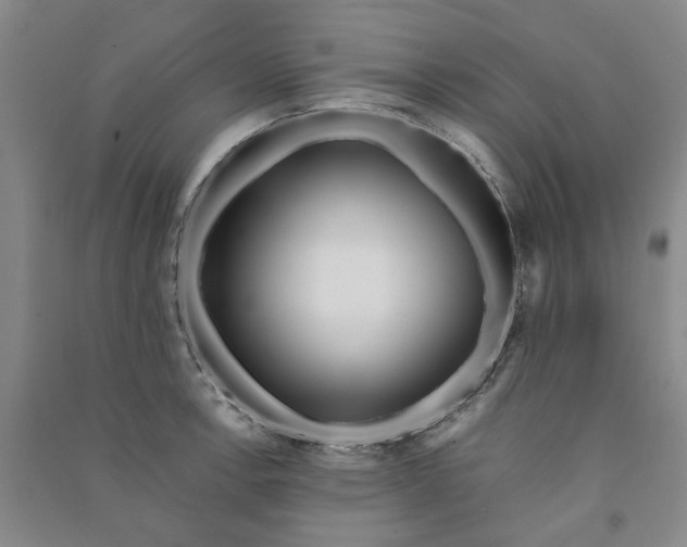 X0000090881138200708171640