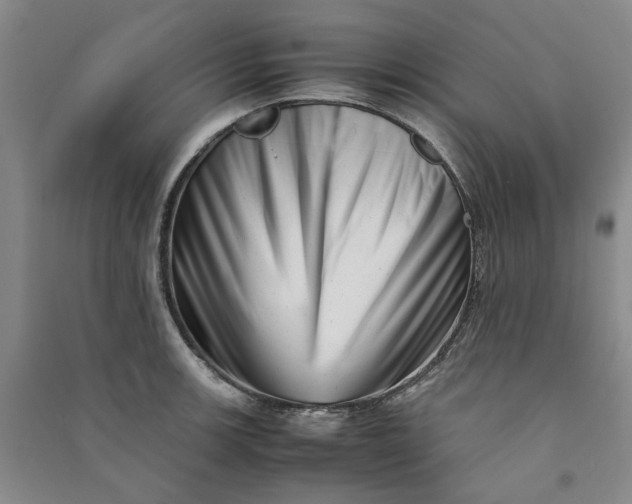 X0000090881139200708171640