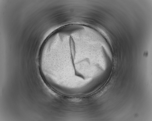 X0000090881141200708171640