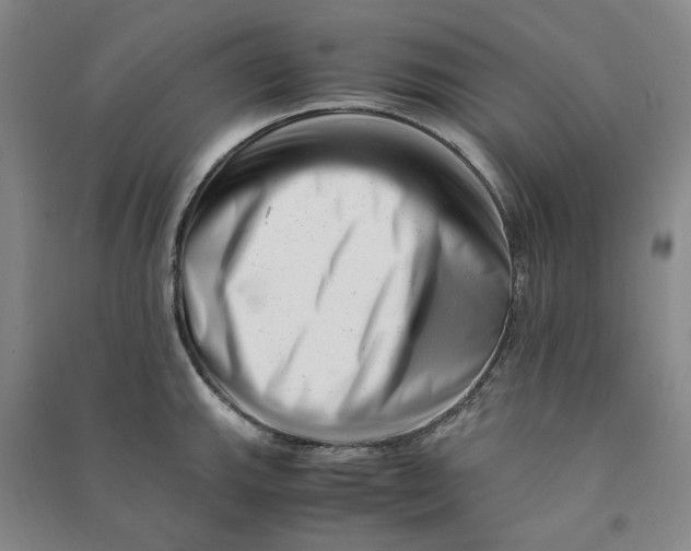 X0000090881143200708171640