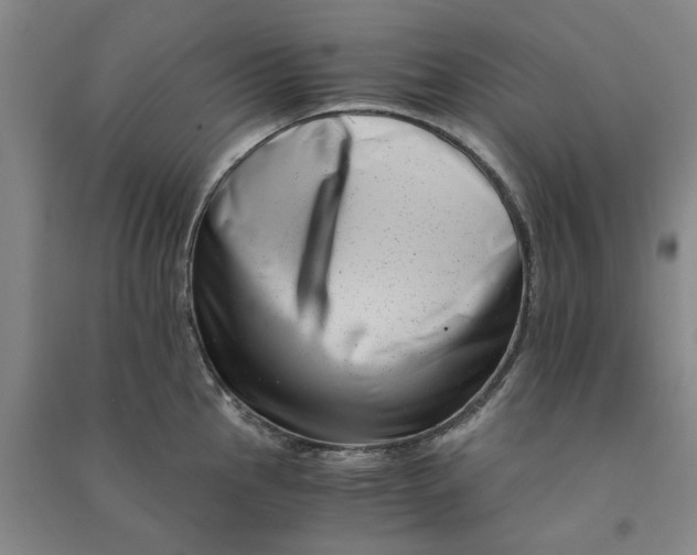 X0000090881145200708171640