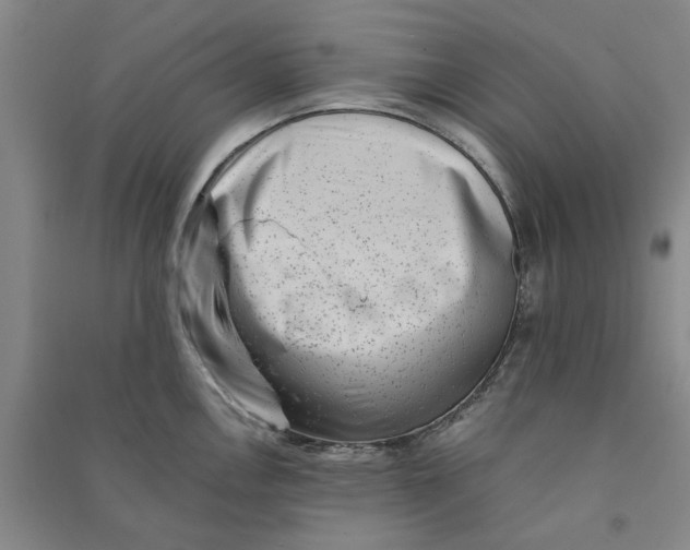 X0000090881146200708171640