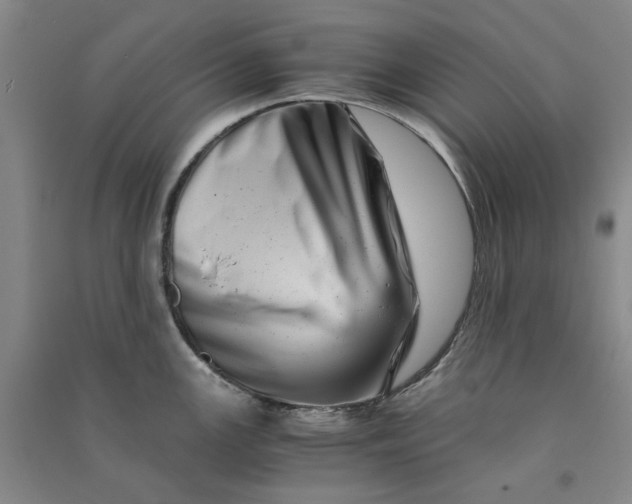 X0000090881147200708171640