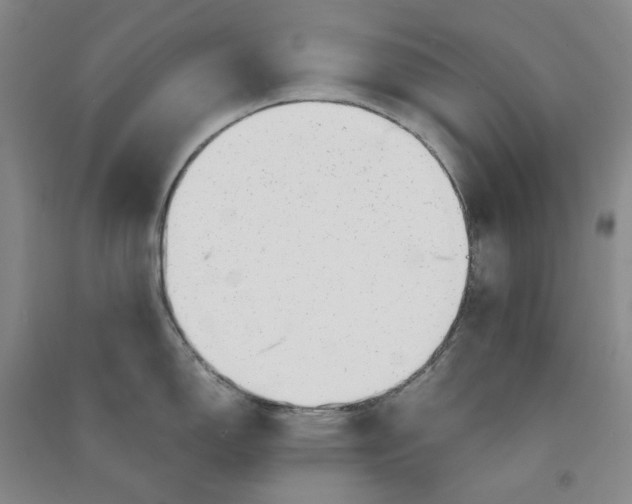 X0000090881150200708171640