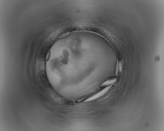 X0000090881155200708171640