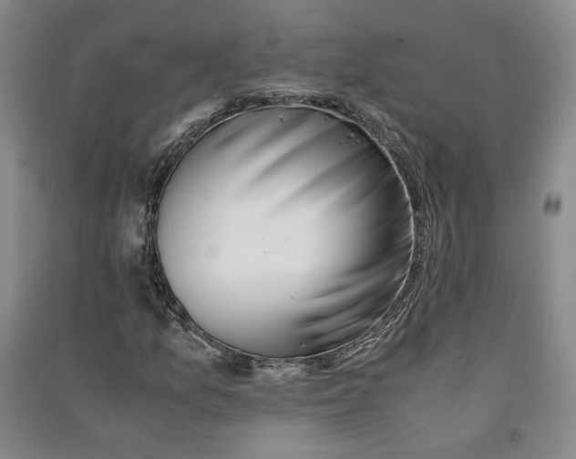 X0000090881157200708171640