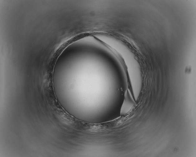 X0000090881160200708171640