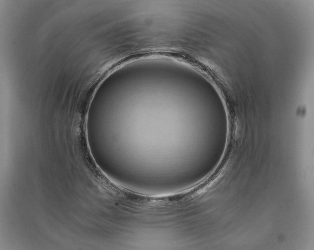 X0000090881161200708171640