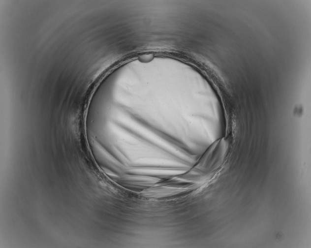 X0000090881162200708171640