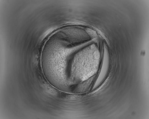 X0000090881163200708171640