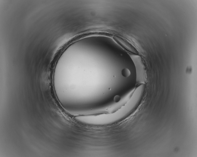 X0000090881164200708171640