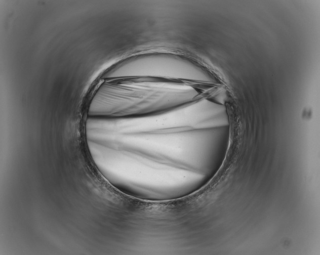 X0000090881166200708171640