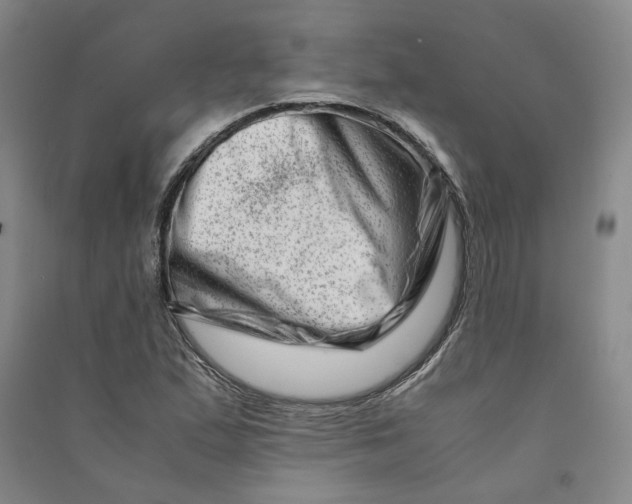 X0000090881167200708171640