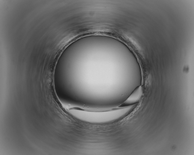 X0000090881169200708171640