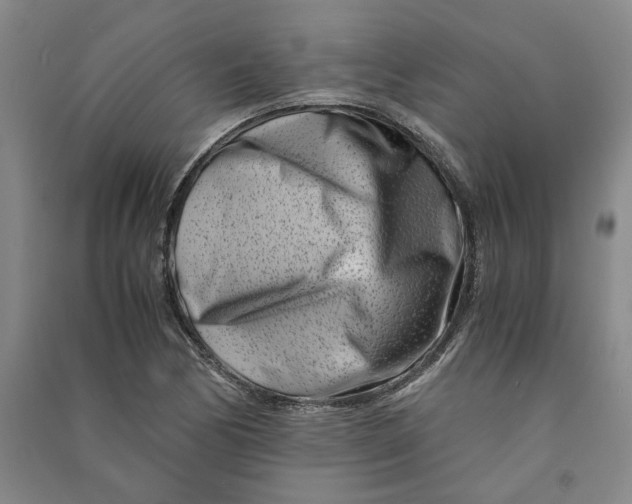 X0000090881170200708171640