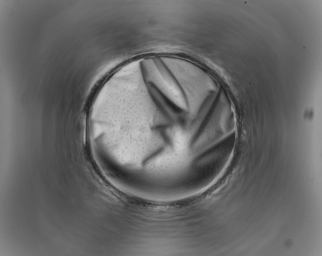 X0000090881171200708171640