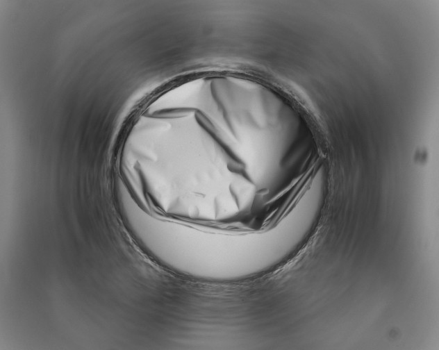 X0000090881172200708171640