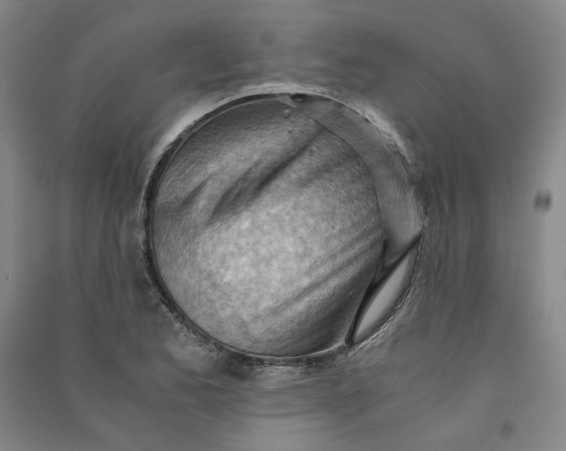 X0000090881173200708171640