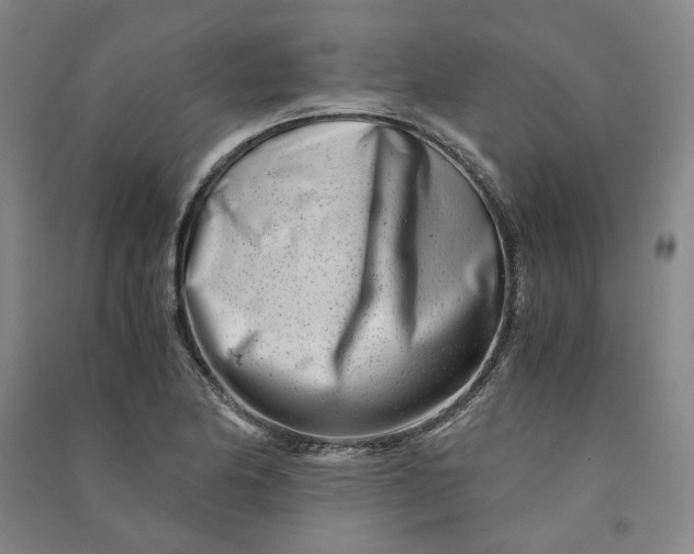 X0000090881174200708171640