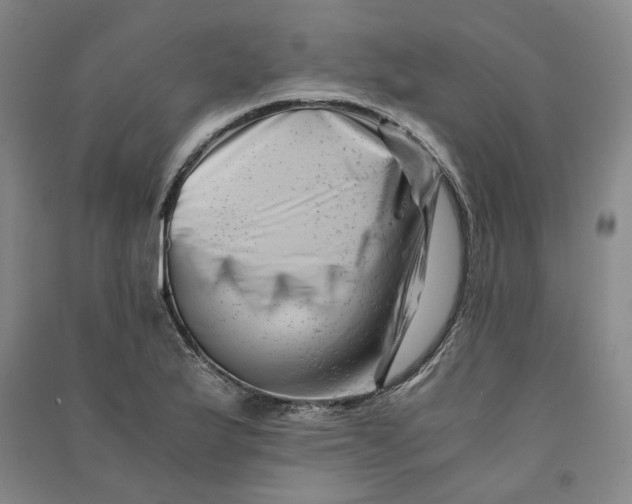 X0000090881175200708171640