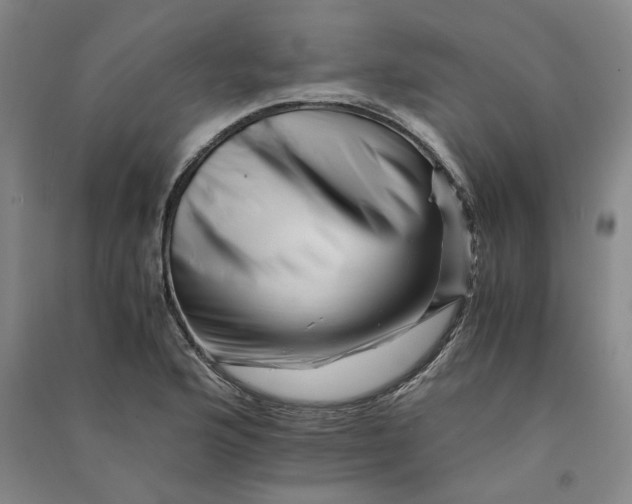 X0000090881176200708171640