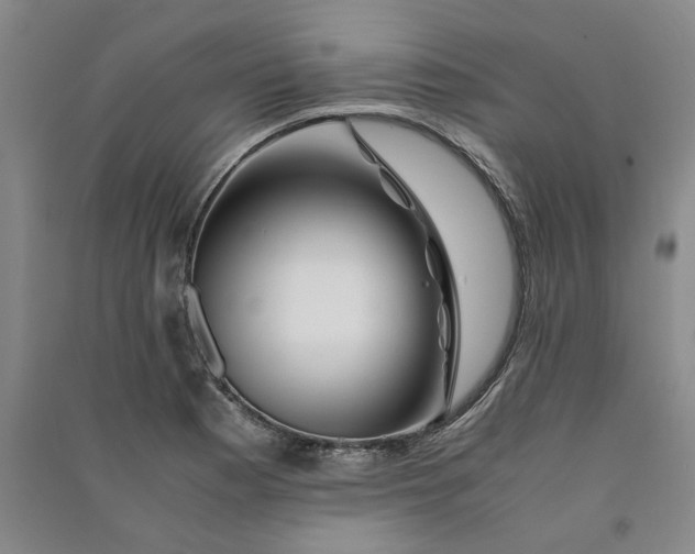 X0000090881177200708171640