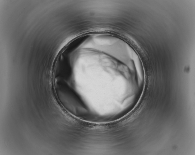 X0000090881178200708171640