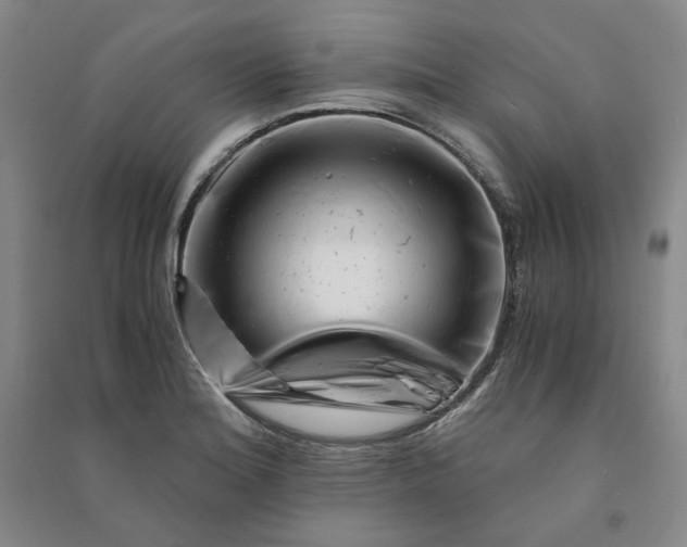 X0000090881180200708171639