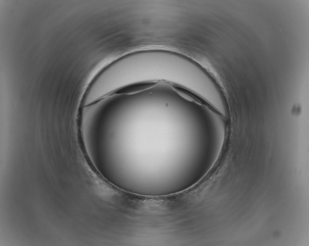 X0000090881181200708171639