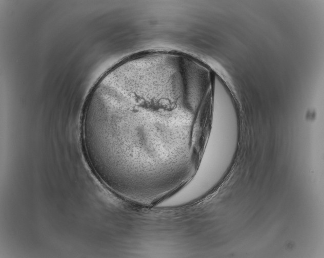 X0000090881183200708171639