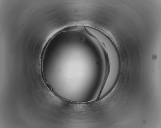 X0000090881184200708171639