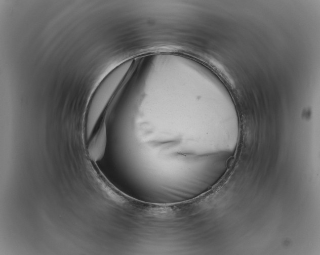 X0000090881186200708171639