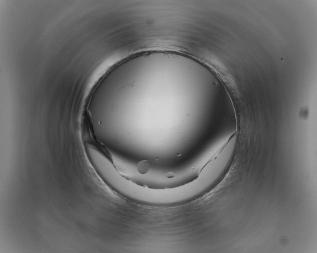 X0000090881188200708171639