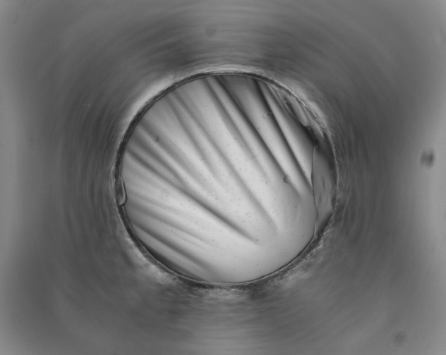 X0000090881189200708171639