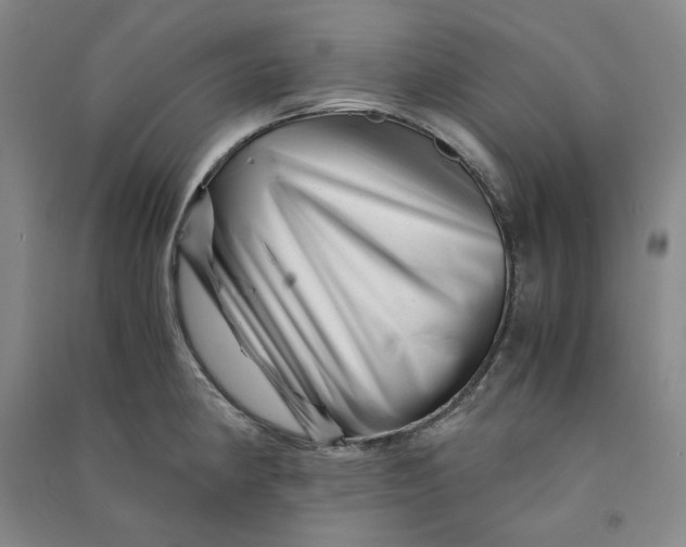 X0000090881190200708171639