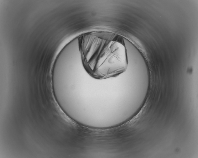 X0000090881192200708171639
