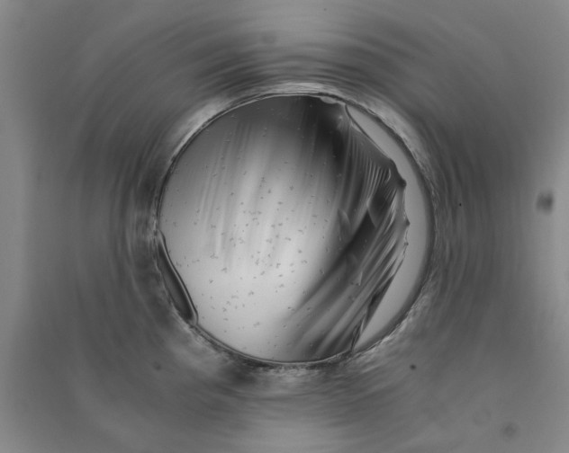 X0000090881193200708171639
