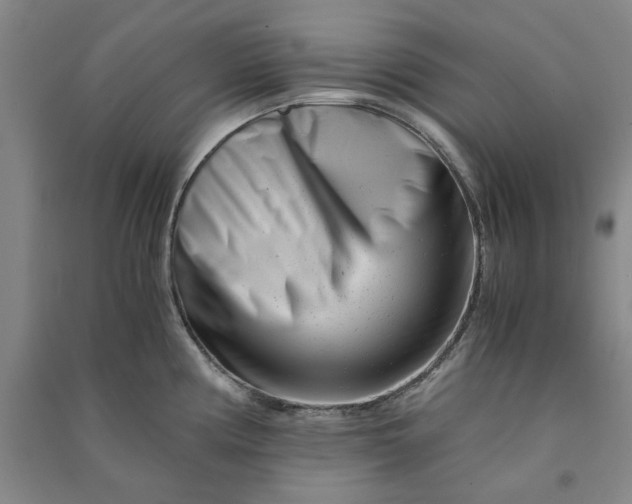 X0000090881194200708171639