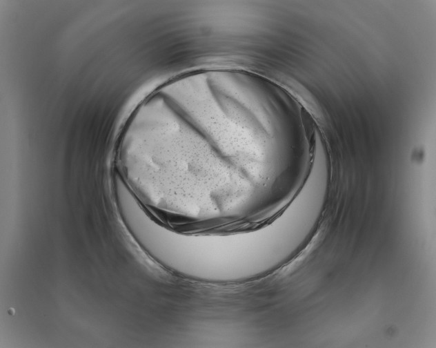 X0000090881196200708171639