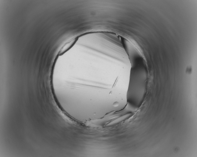 X0000090881197200708171639